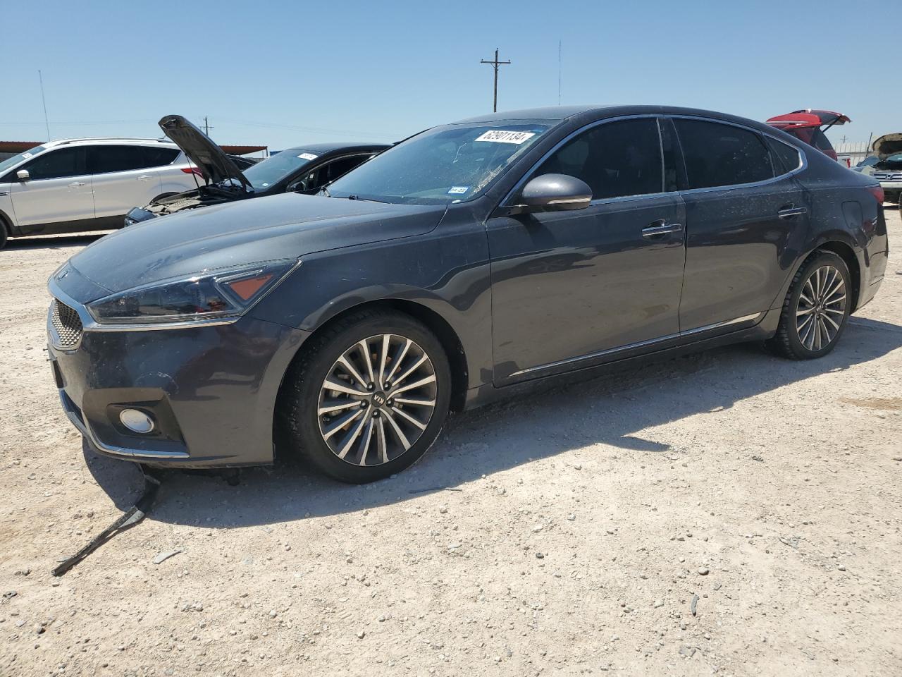 2019 Kia Cadenza Premium VIN: KNALB4J15K5165003 Lot: 62901134