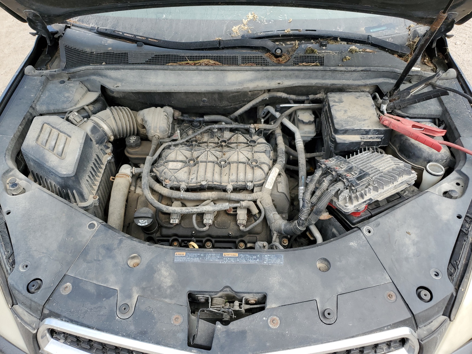 2CNFLEE53B6248381 2011 Chevrolet Equinox Lt