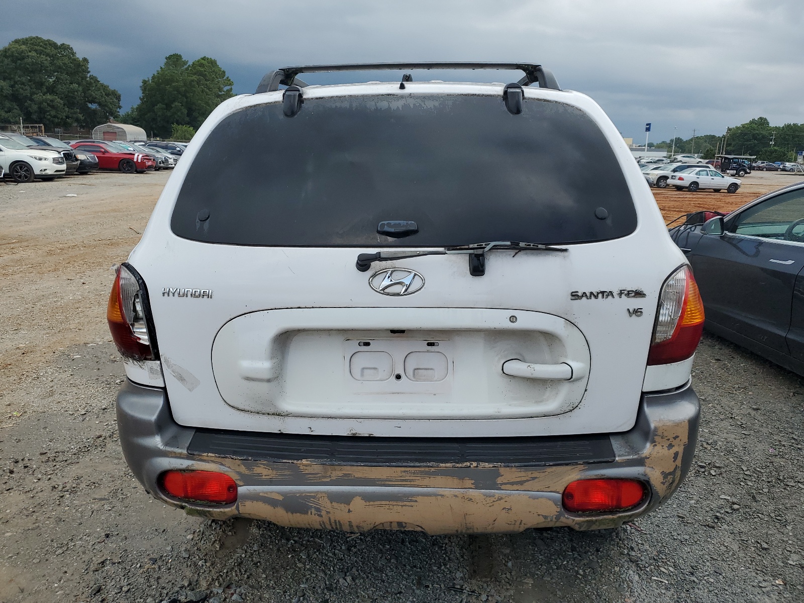 KM8SC13D94U783432 2004 Hyundai Santa Fe Gls