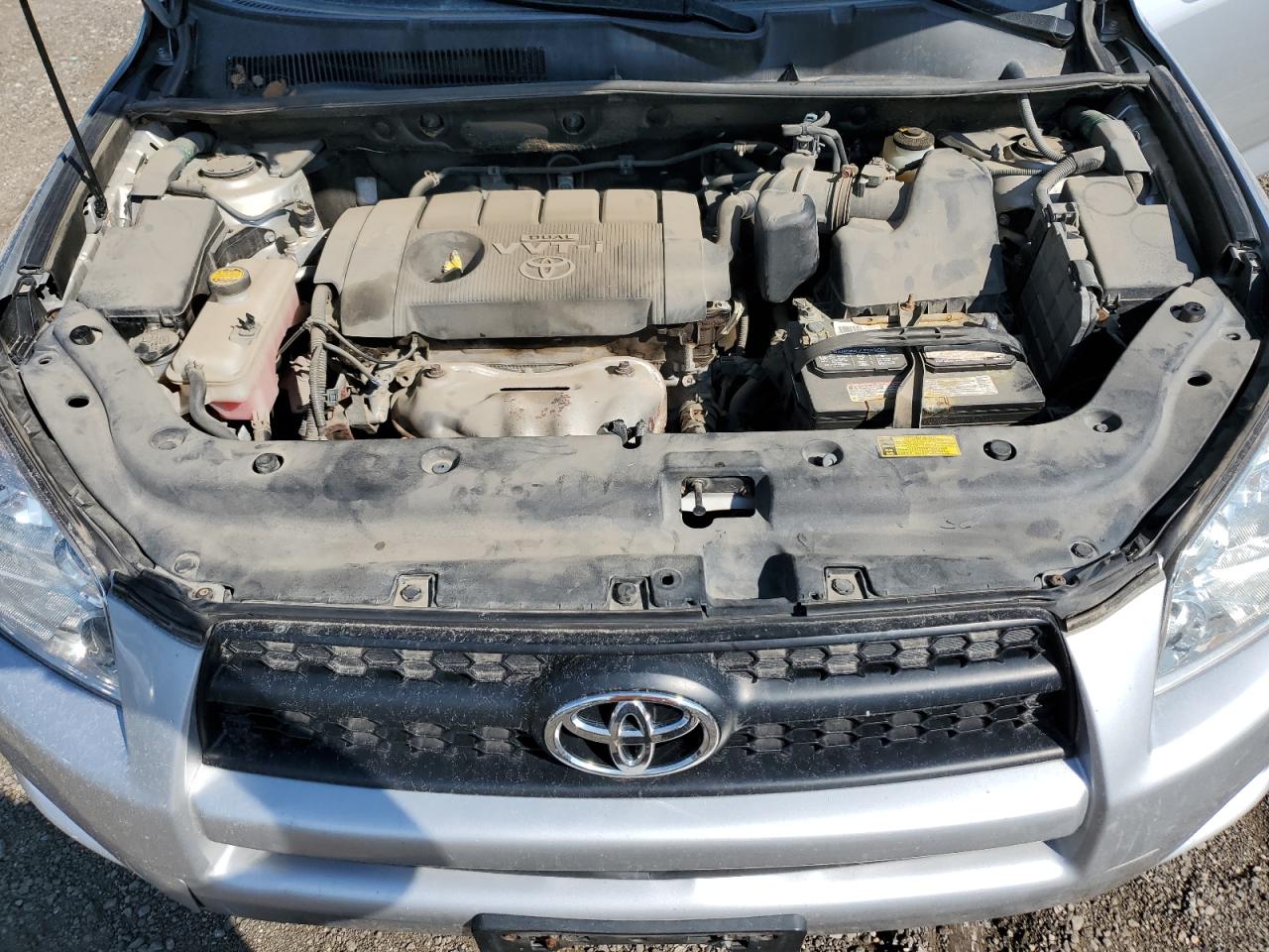 2010 Toyota Rav4 VIN: JTMBF4DV9A5021826 Lot: 61952094