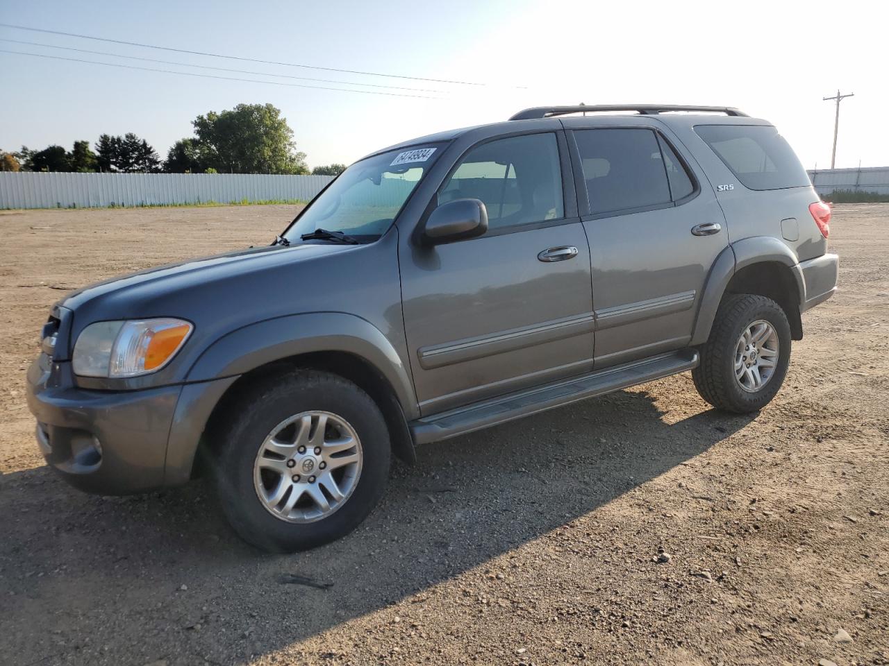 2006 Toyota Sequoia Sr5 VIN: 5TDBT44A96S275172 Lot: 64749934