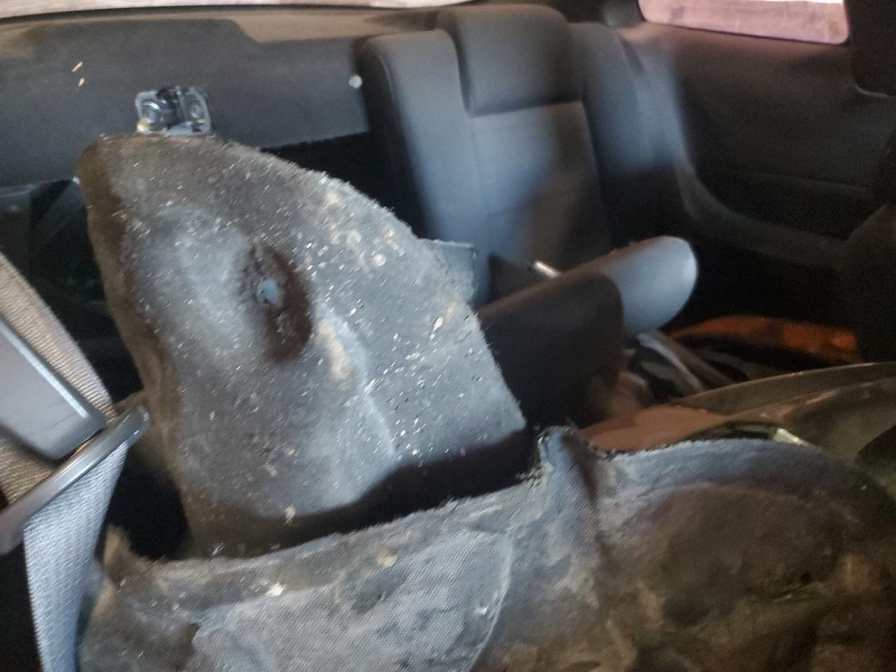 2009 Ford Mustang VIN: 1ZVHT80N595117199 Lot: 62417404