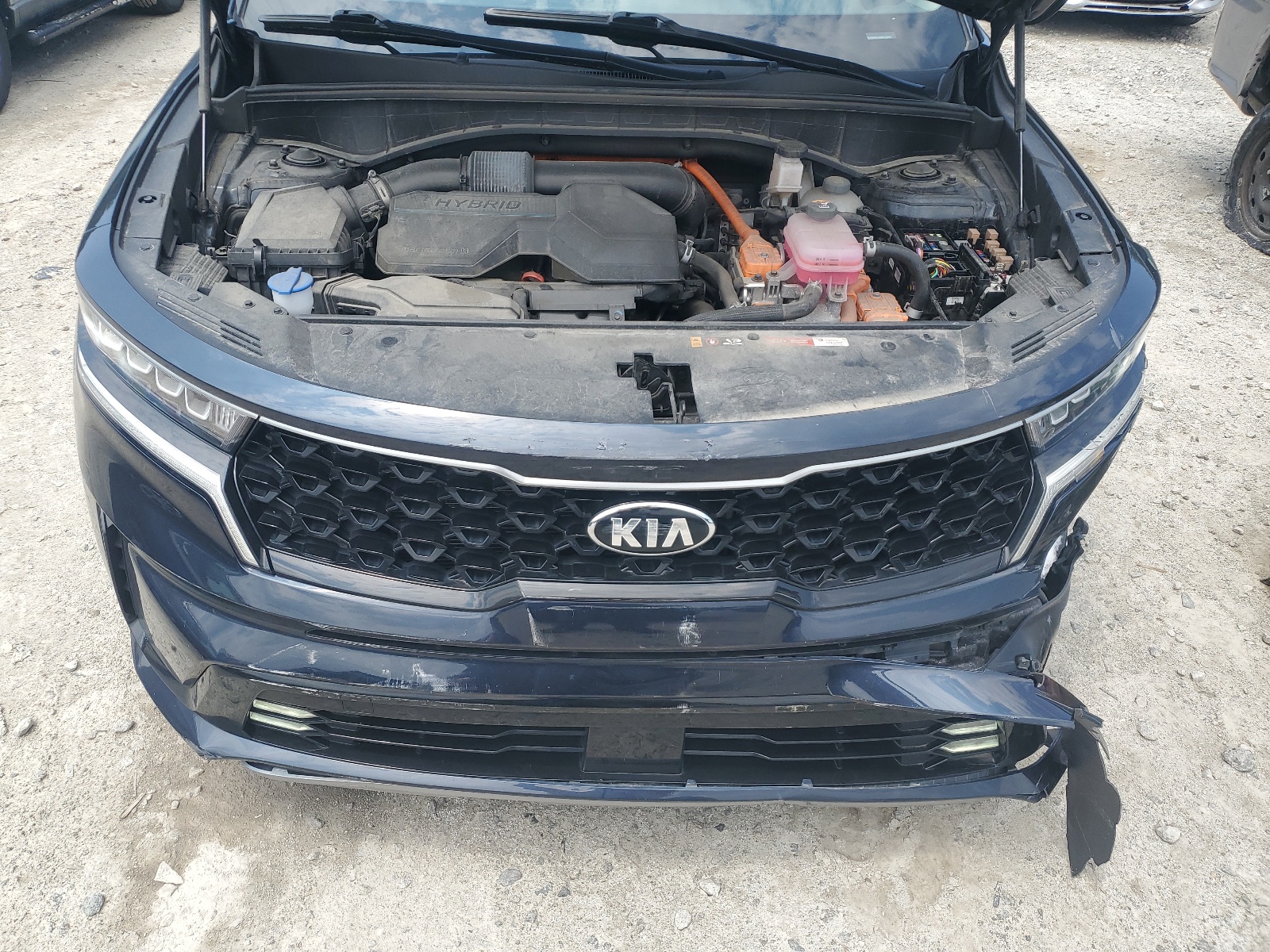 2021 Kia Sorento Ex vin: KNDRH4LG9M5019459