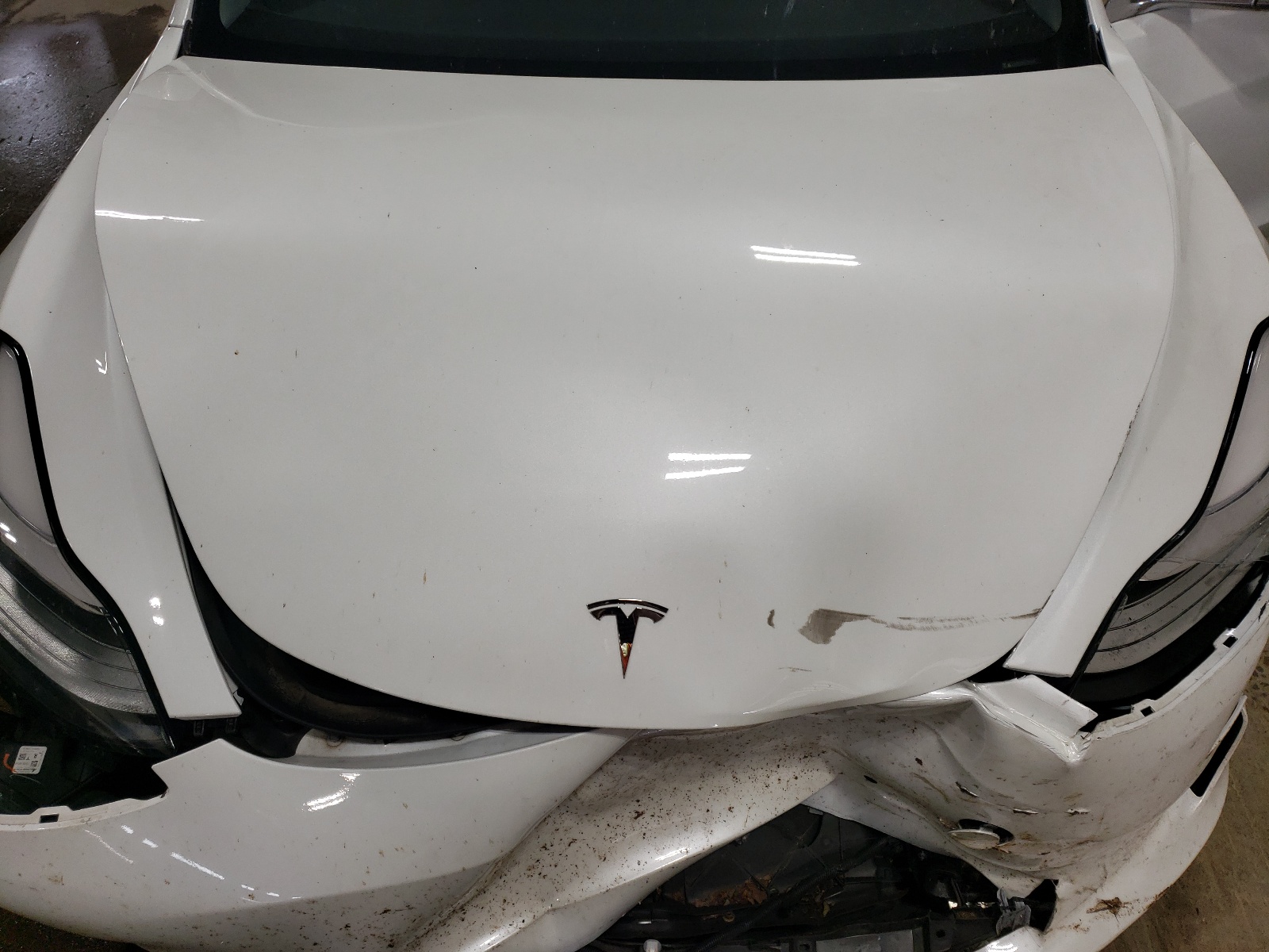 5YJ3E1EB1KF393252 2019 Tesla Model 3