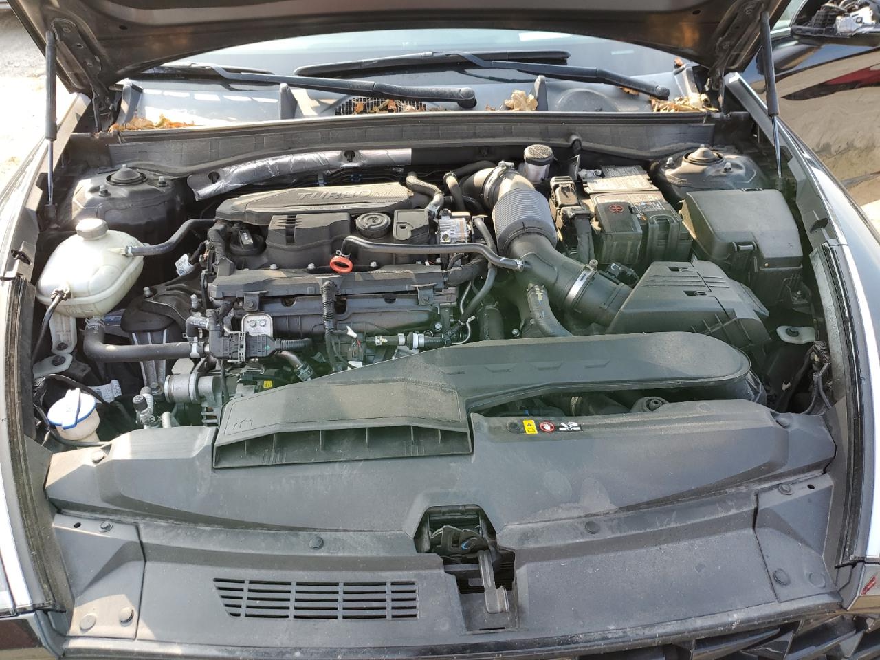 2020 Hyundai Sonata Limited VIN: 5NPEH4J24LH012536 Lot: 64770924