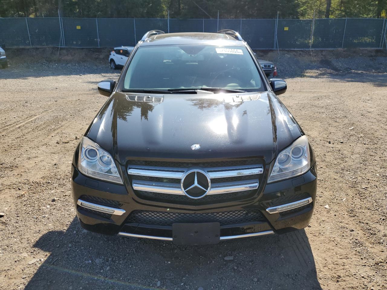 2010 Mercedes-Benz Gl 450 4Matic VIN: 4JGBF7BE4AA613075 Lot: 62855054
