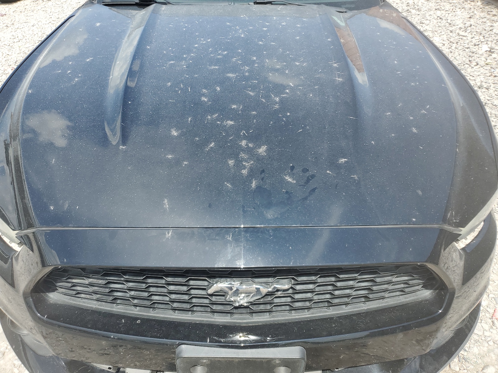 1FATP8UHXH5204784 2017 Ford Mustang