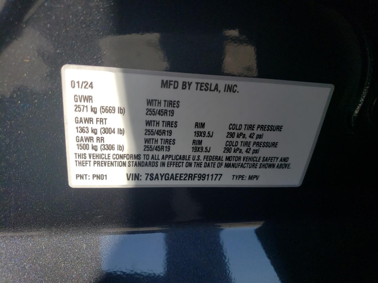 2024 Tesla Model Y VIN: 7SAYGAEE2RF991177 Lot: 61506864