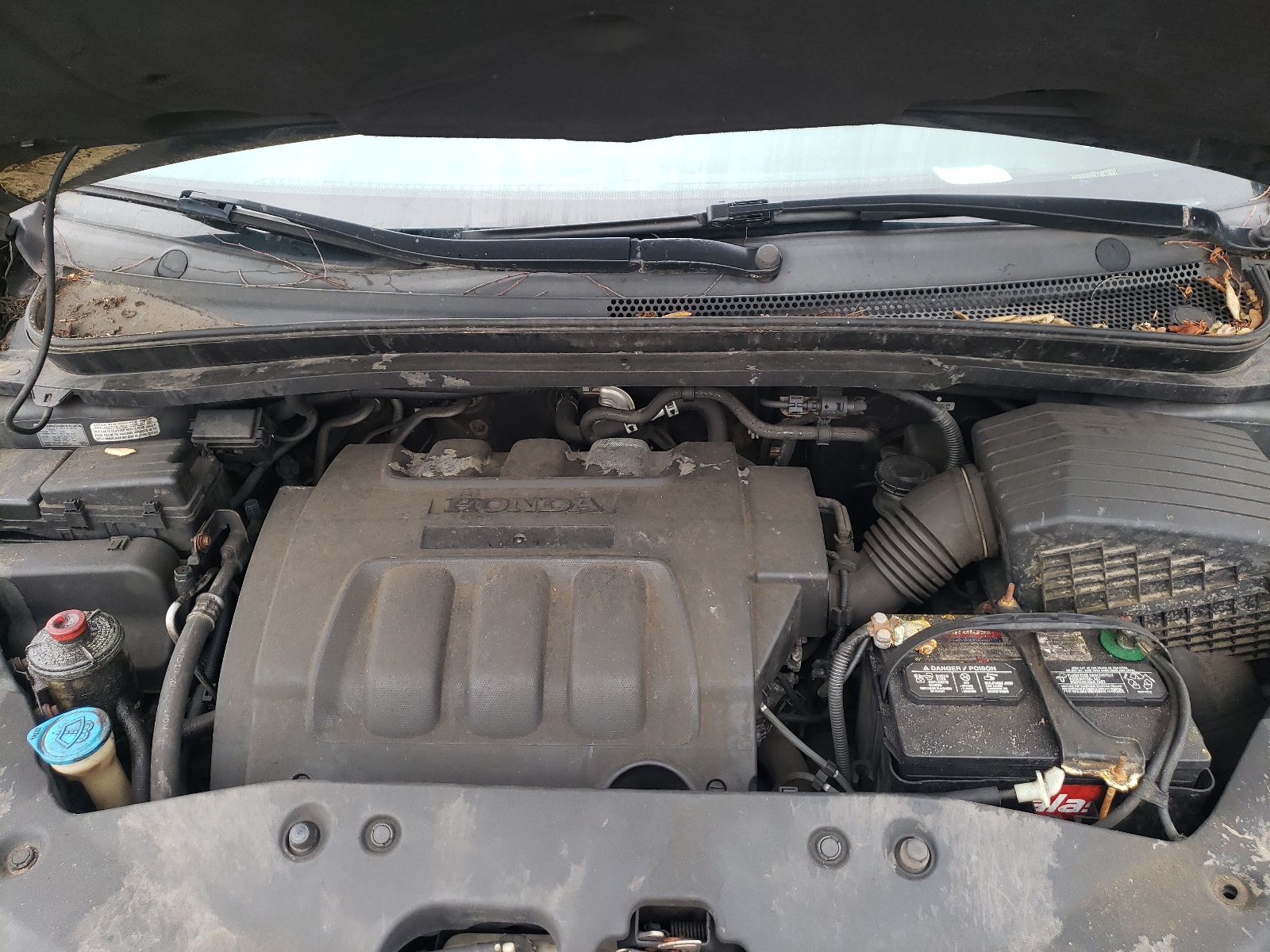 5FNRL384X6B410435 2006 Honda Odyssey Ex