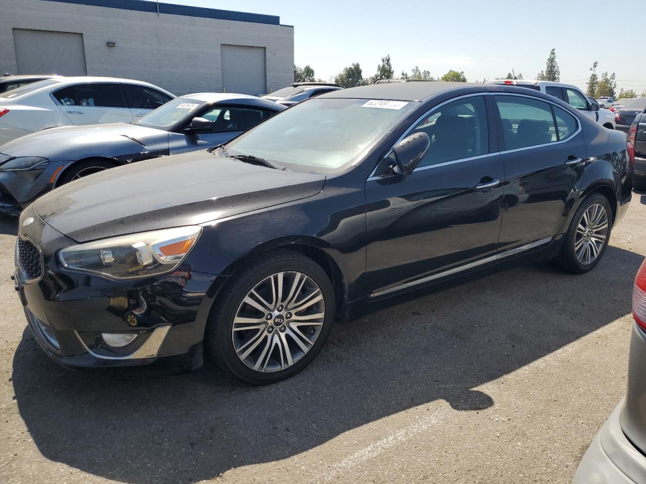 2014 Kia Cadenza Premium VIN: KNALN4D79E5129357 Lot: 63249684