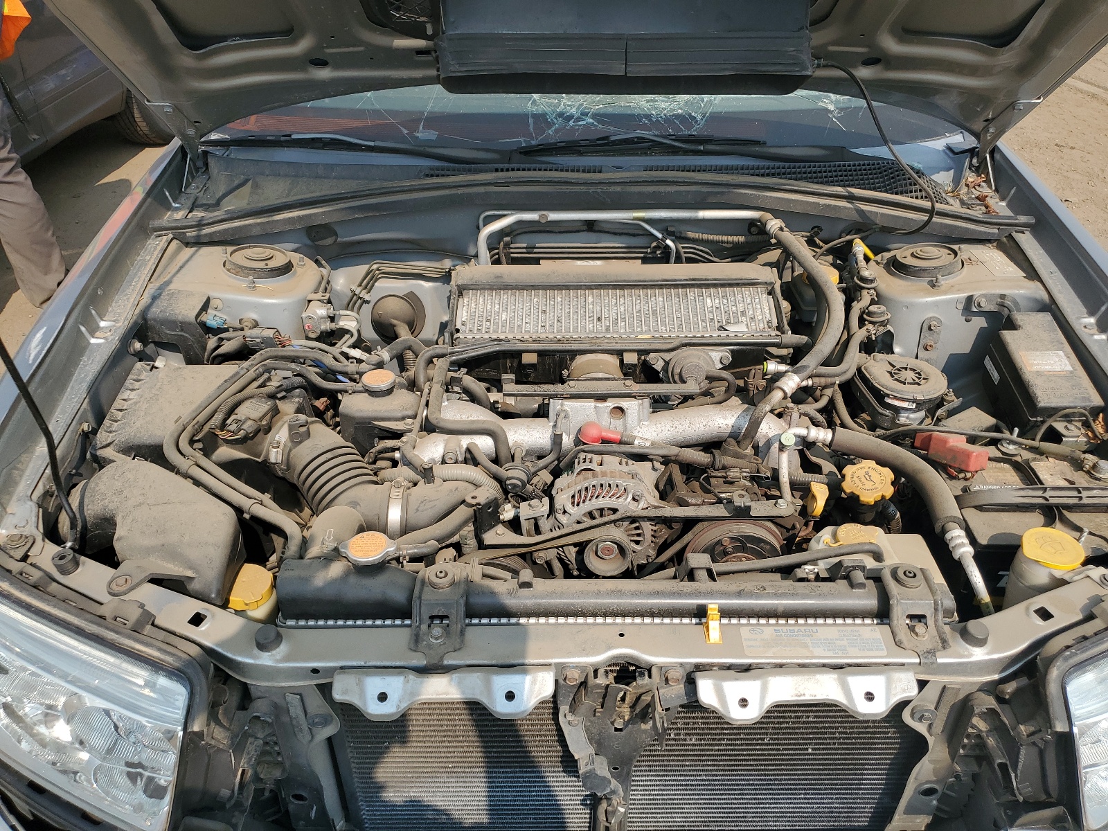 JF1SG69656H709263 2006 Subaru Forester 2.5Xt