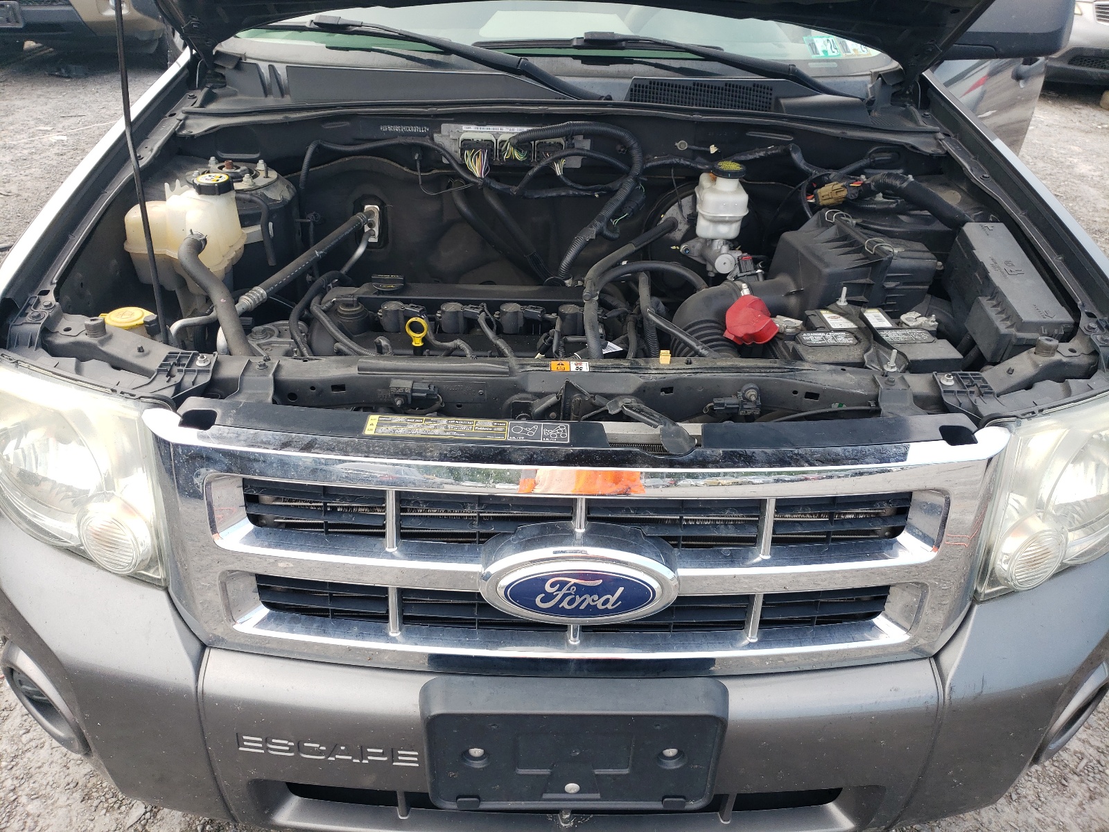 1FMCU0C74CKB37117 2012 Ford Escape Xls