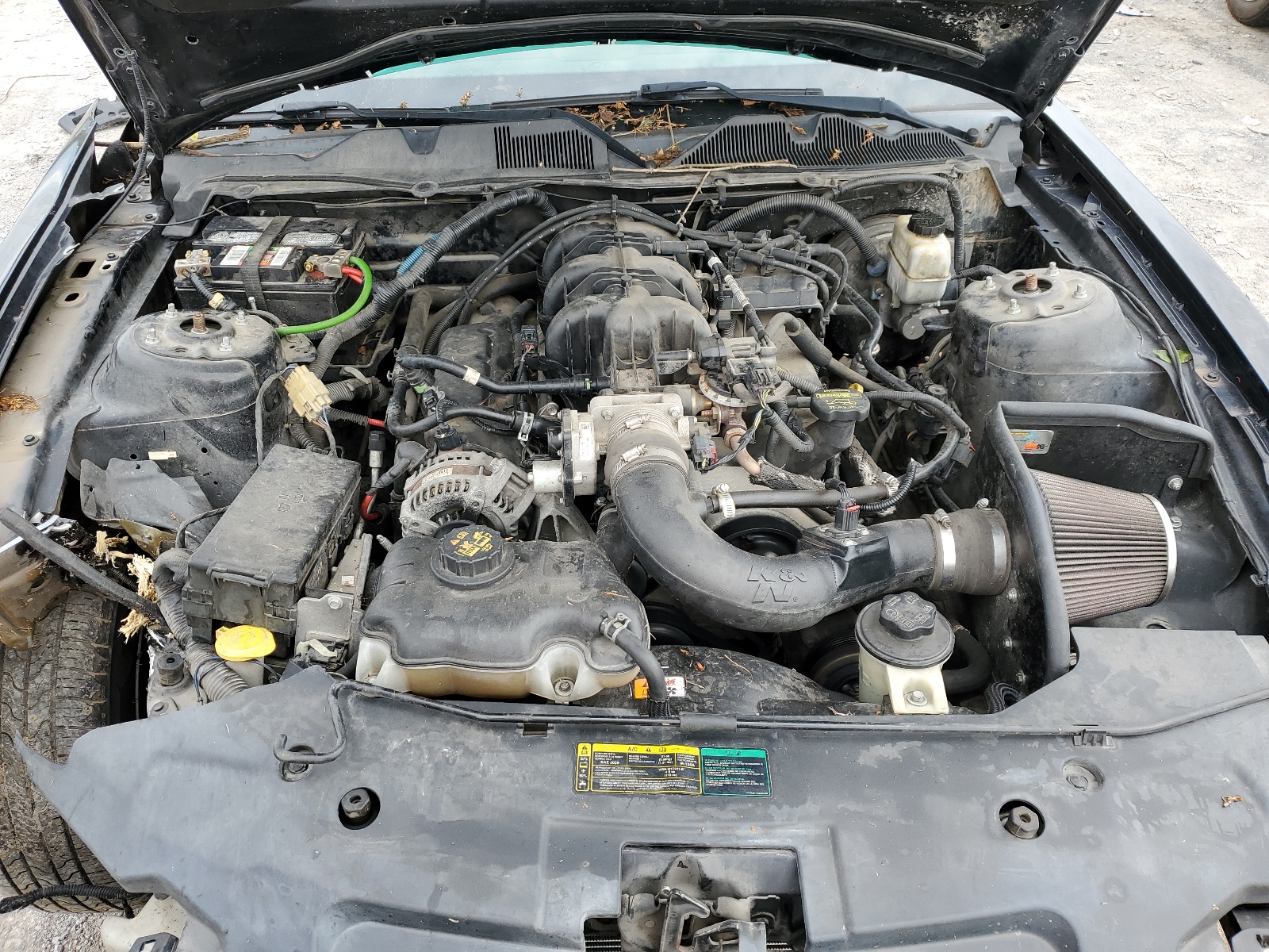 1ZVBP8EN9A5178658 2010 Ford Mustang