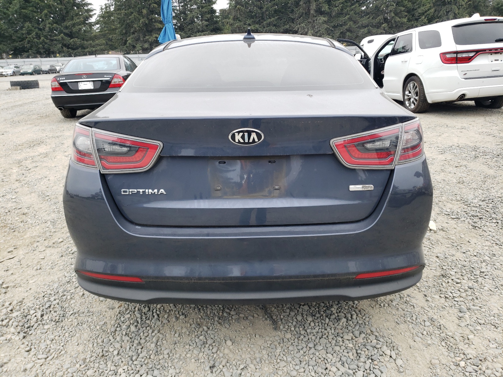 2015 Kia Optima Hybrid vin: KNAGM4AD2F5087551