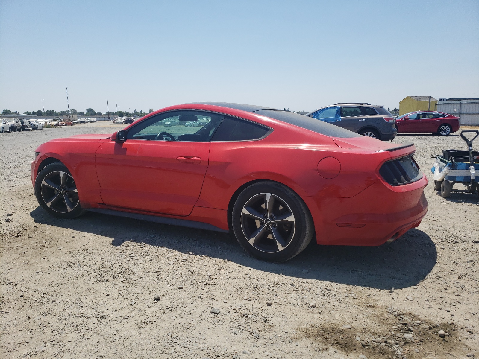 1FA6P8AM5F5352742 2015 Ford Mustang