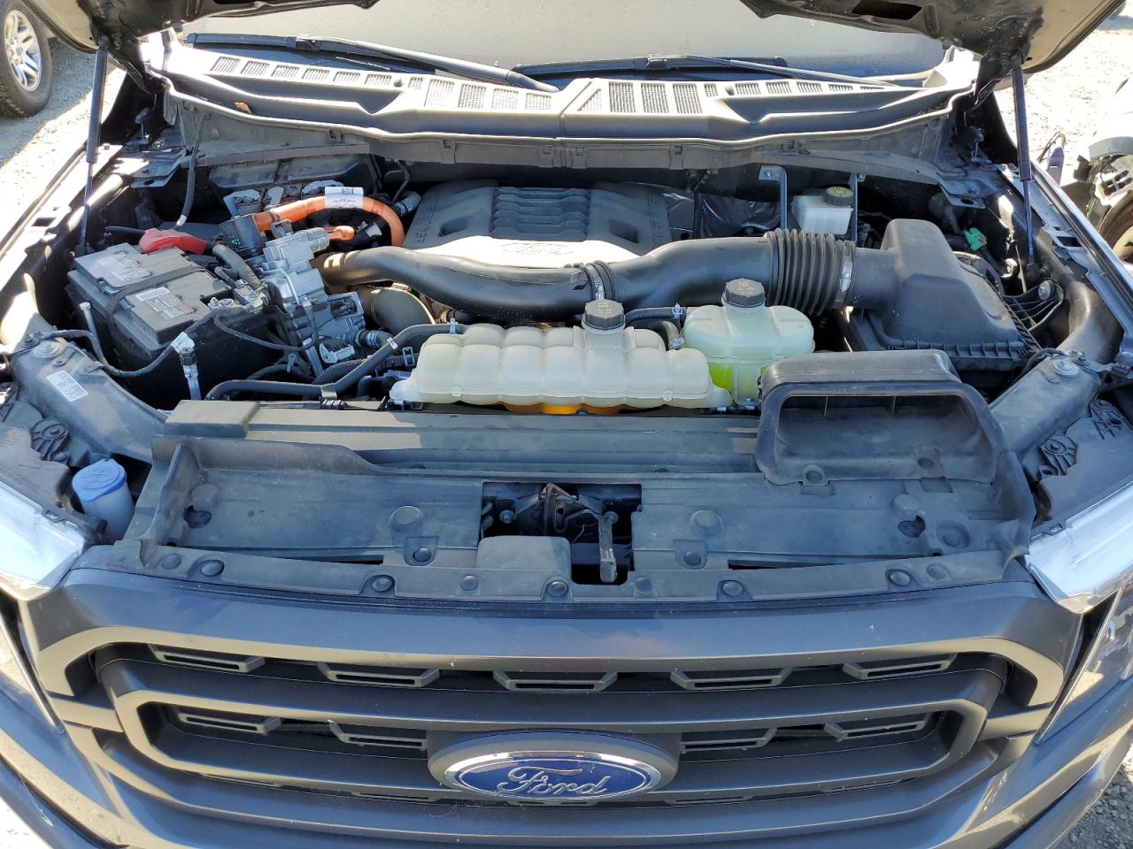 2022 Ford F150 Supercrew VIN: 1FTFW1ED3NFA30138 Lot: 65516284