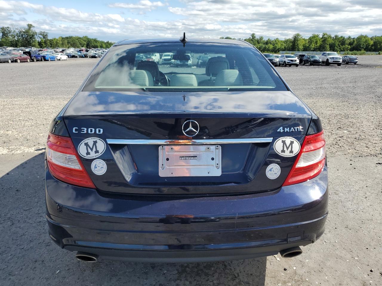 2010 Mercedes-Benz C 300 4Matic VIN: WDDGF8BB4AF426773 Lot: 61063994