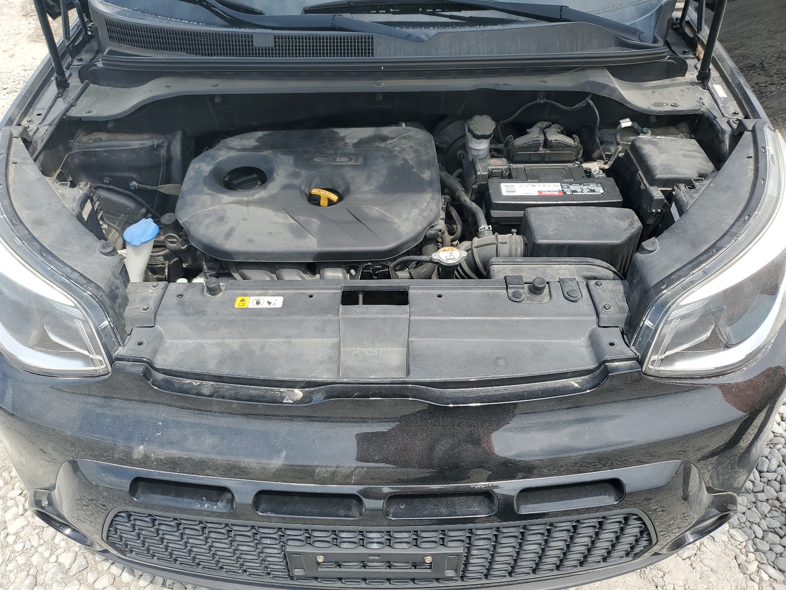 KNDJP3A52G7401840 2016 Kia Soul +