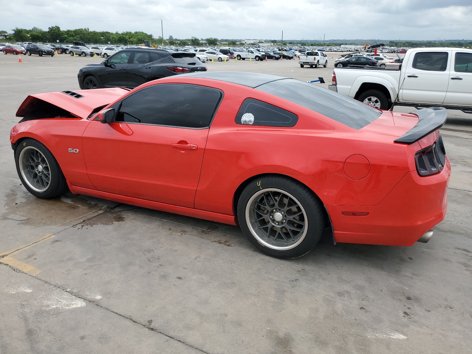 1ZVBP8CF2D5241096 2013 Ford Mustang Gt