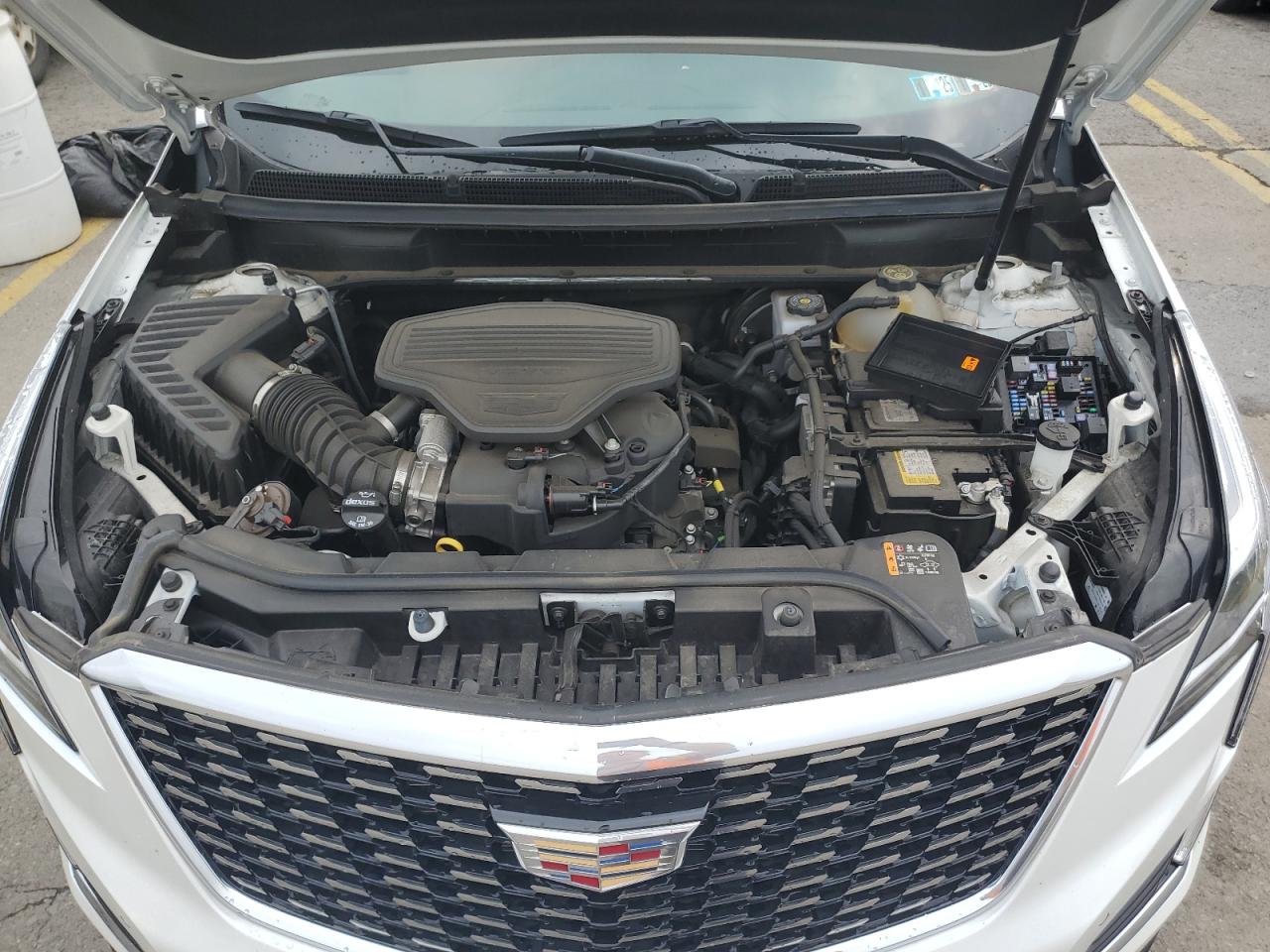 2023 Cadillac Xt5 Premium Luxury VIN: 1GYKNDRS1PZ143853 Lot: 64423294