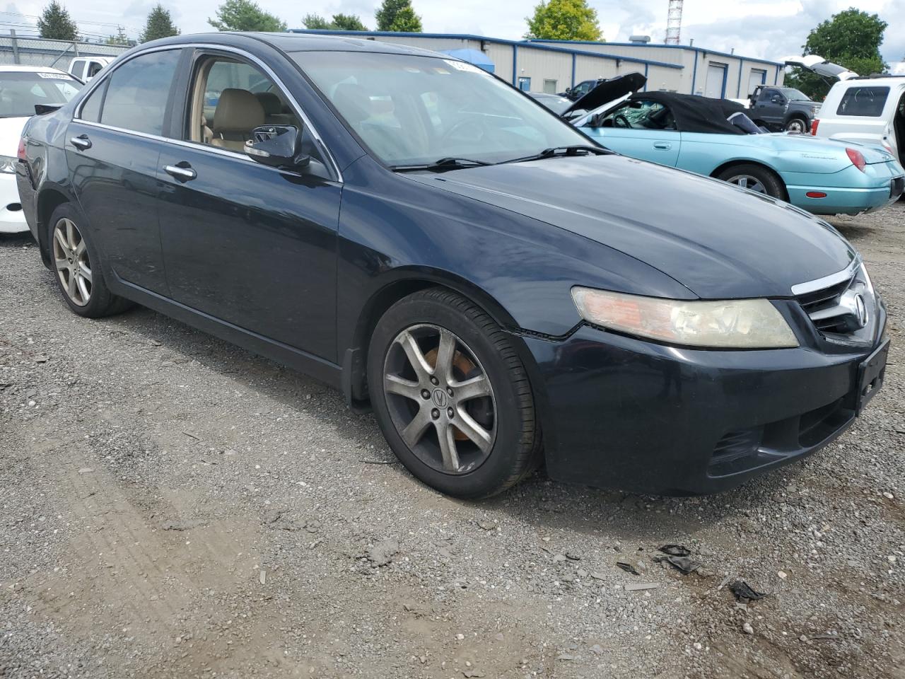 2004 Acura Tsx VIN: JH4CL96904C035445 Lot: 63818164