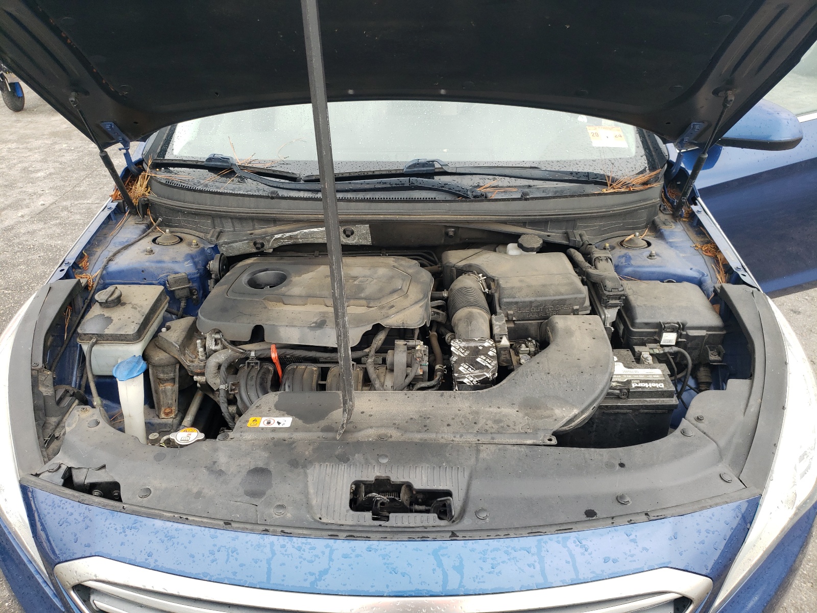 5NPE24AF1HH528395 2017 Hyundai Sonata Se