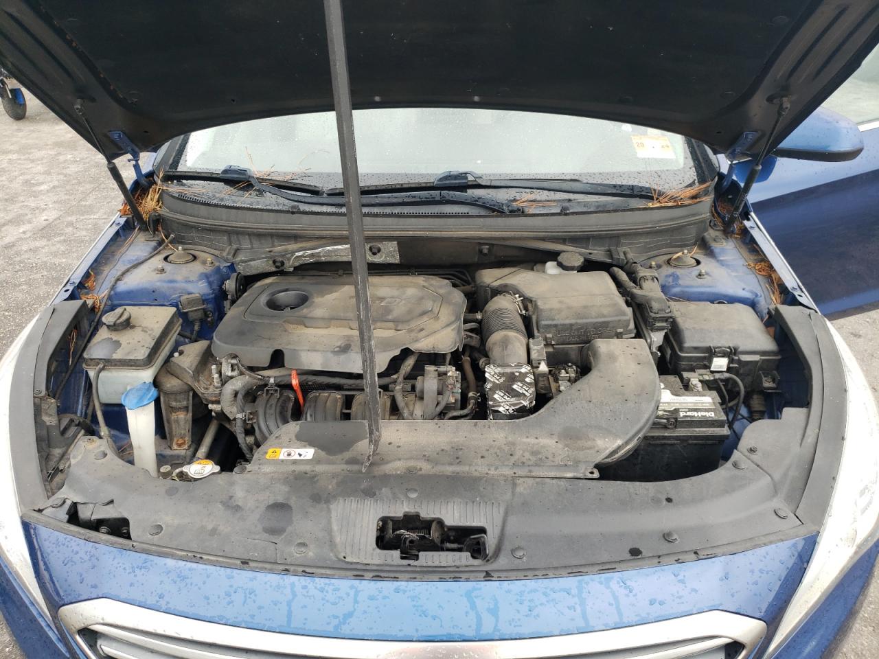 2017 Hyundai Sonata Se VIN: 5NPE24AF1HH528395 Lot: 65215224