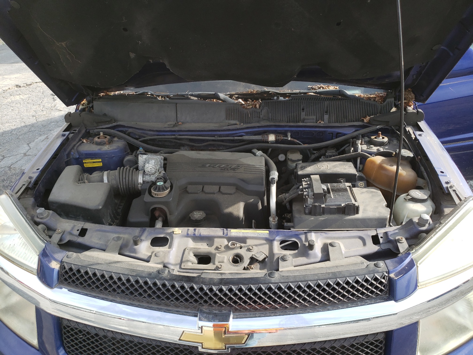2CNDL73F566100205 2006 Chevrolet Equinox Lt