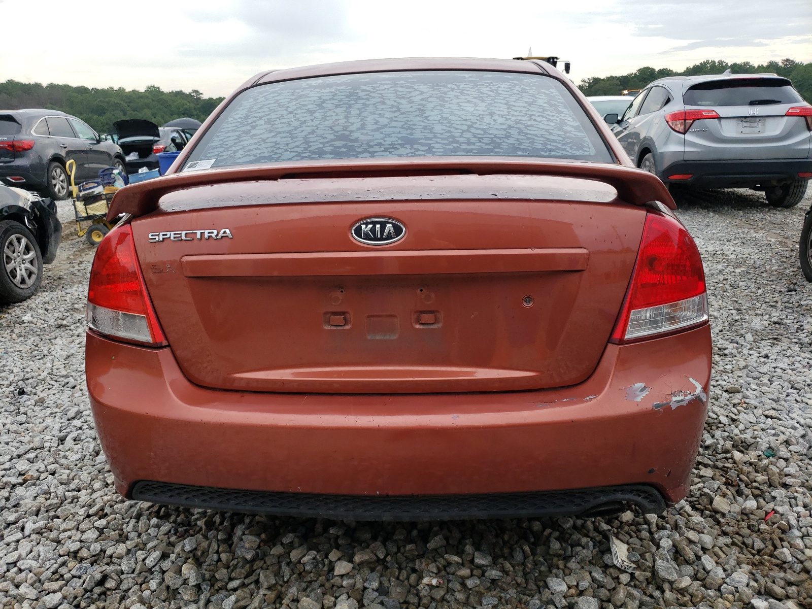 KNAFE121685014858 2008 Kia Spectra Ex