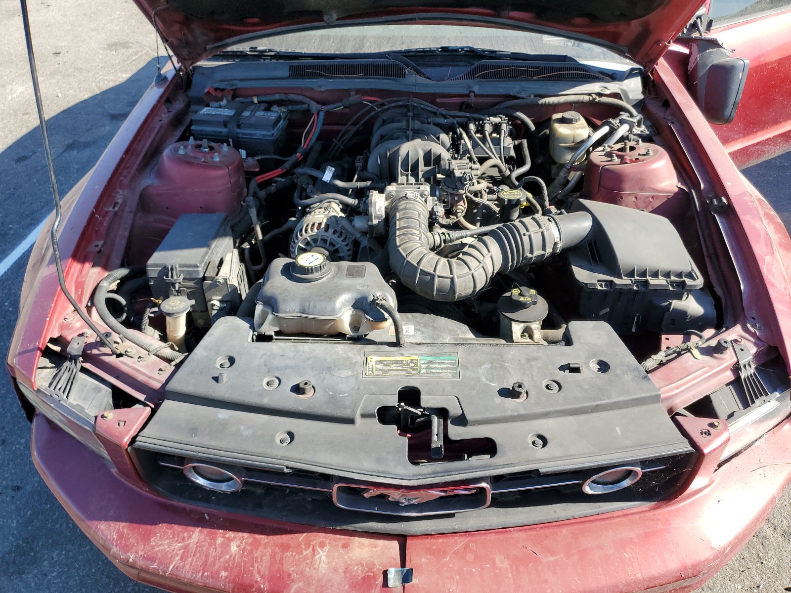 1ZVFT80N975218718 2007 Ford Mustang