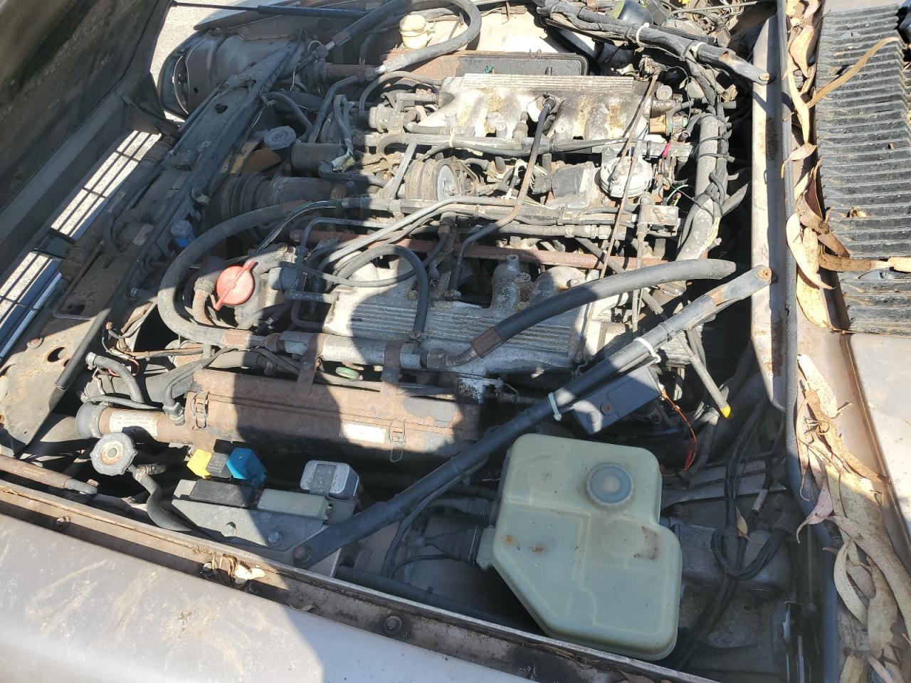 1990 Jaguar Xjs Classic Collection VIN: SAJTW4843LC176247 Lot: 64547424