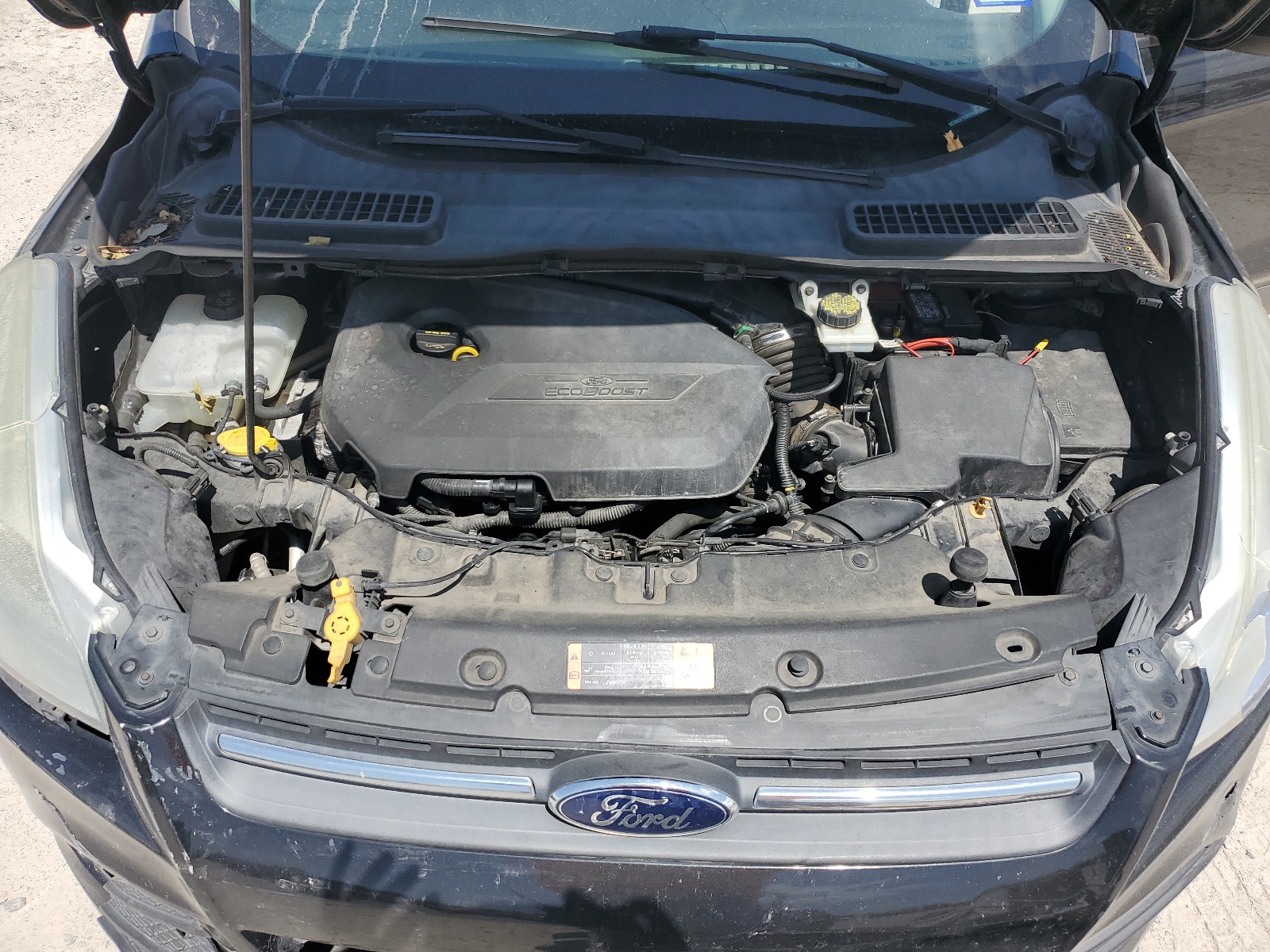 1FMCU0GX1EUE25338 2014 Ford Escape Se