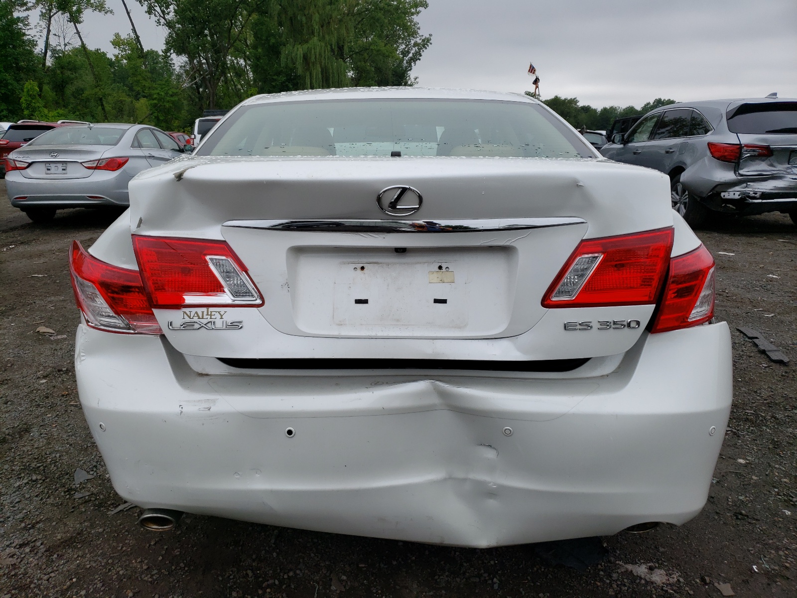 JTHBJ46G492293001 2009 Lexus Es 350