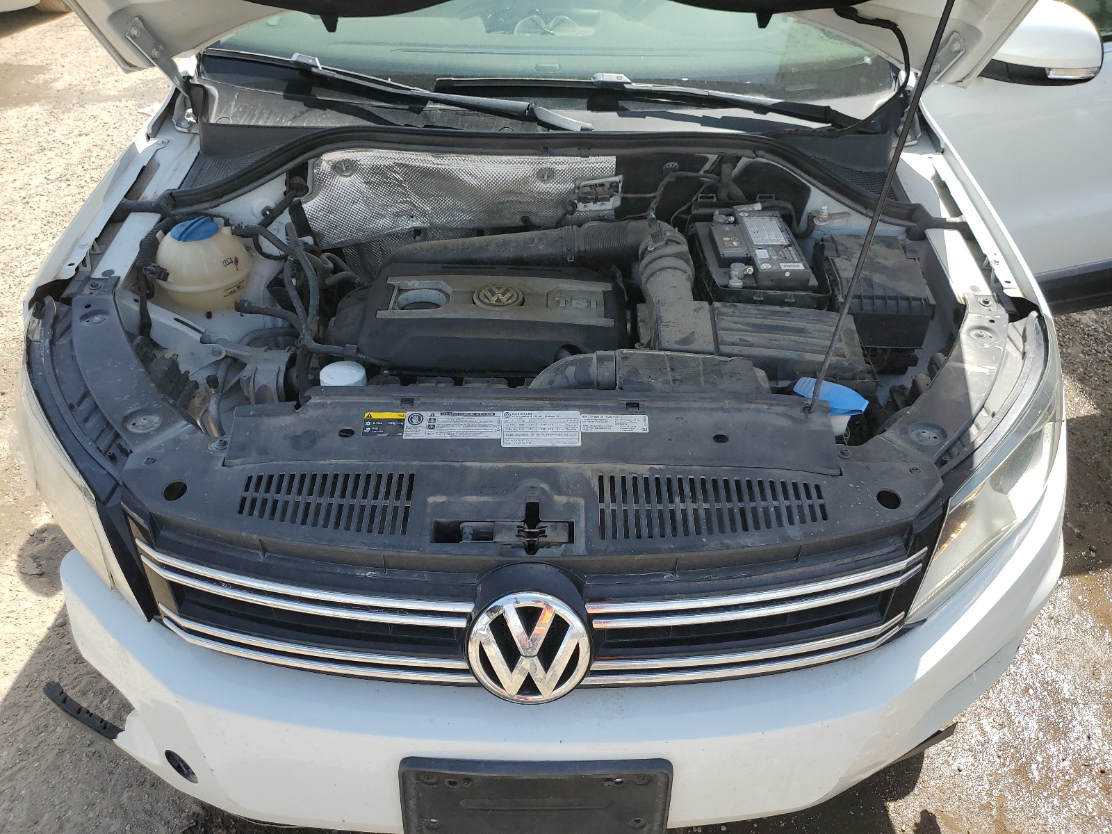 WVGAV3AX3EW605455 2014 Volkswagen Tiguan S