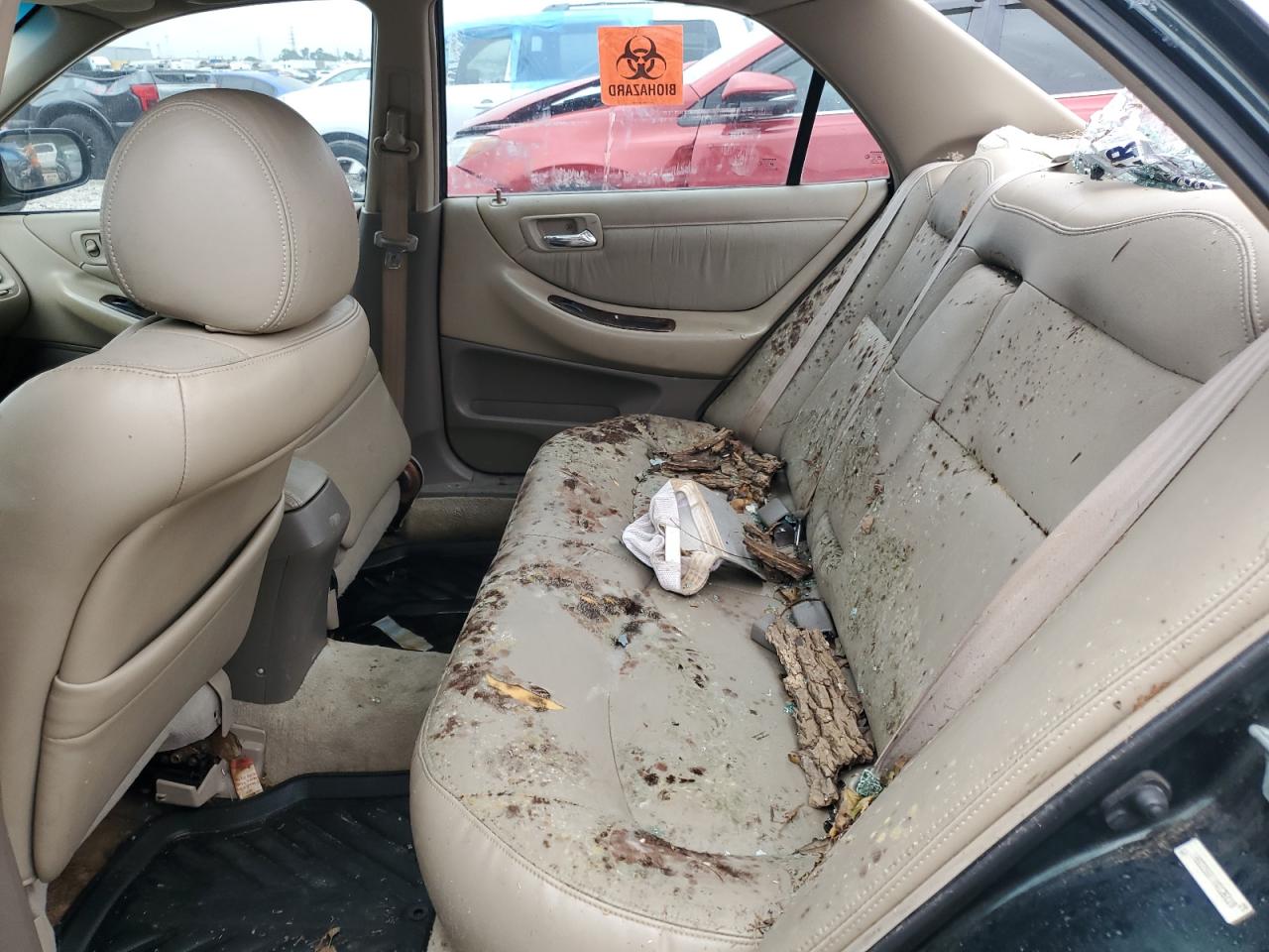 2000 Honda Accord Ex VIN: 1HGCG5665YA126119 Lot: 64858194