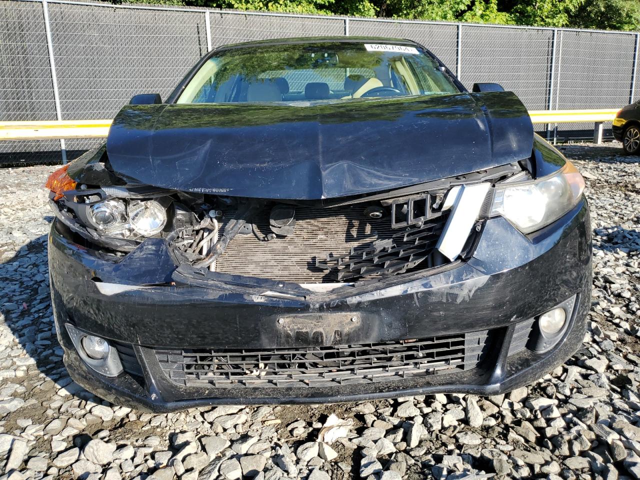 2009 Acura Tsx VIN: JH4CU26699C023165 Lot: 62067964