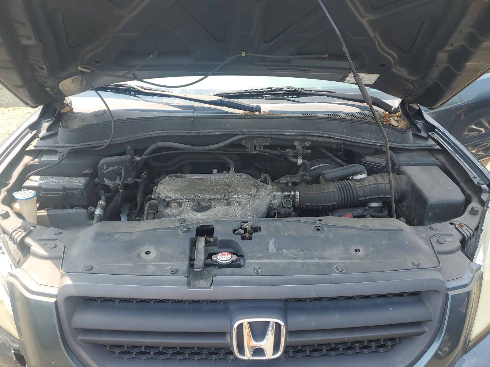 5FNYF18505B054835 2005 Honda Pilot Exl