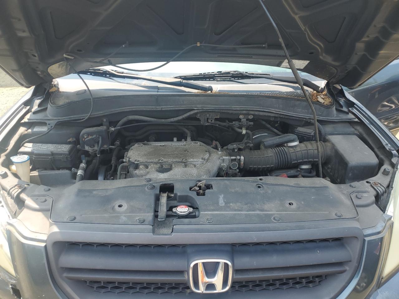 2005 Honda Pilot Exl VIN: 5FNYF18505B054835 Lot: 61073074