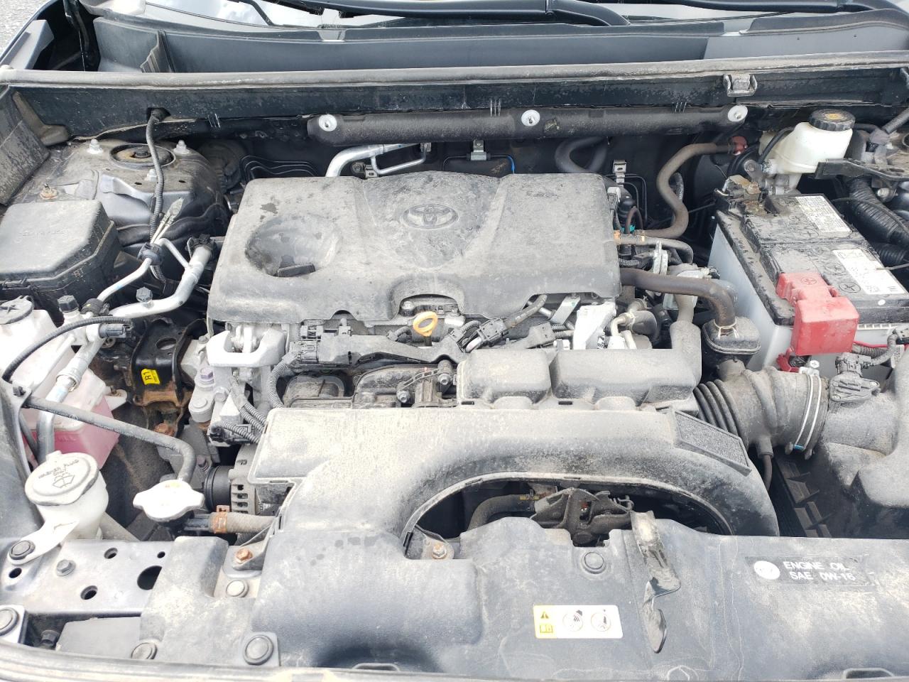 2021 Toyota Rav4 Xle VIN: 2T3R1RFV9MC238718 Lot: 61211654