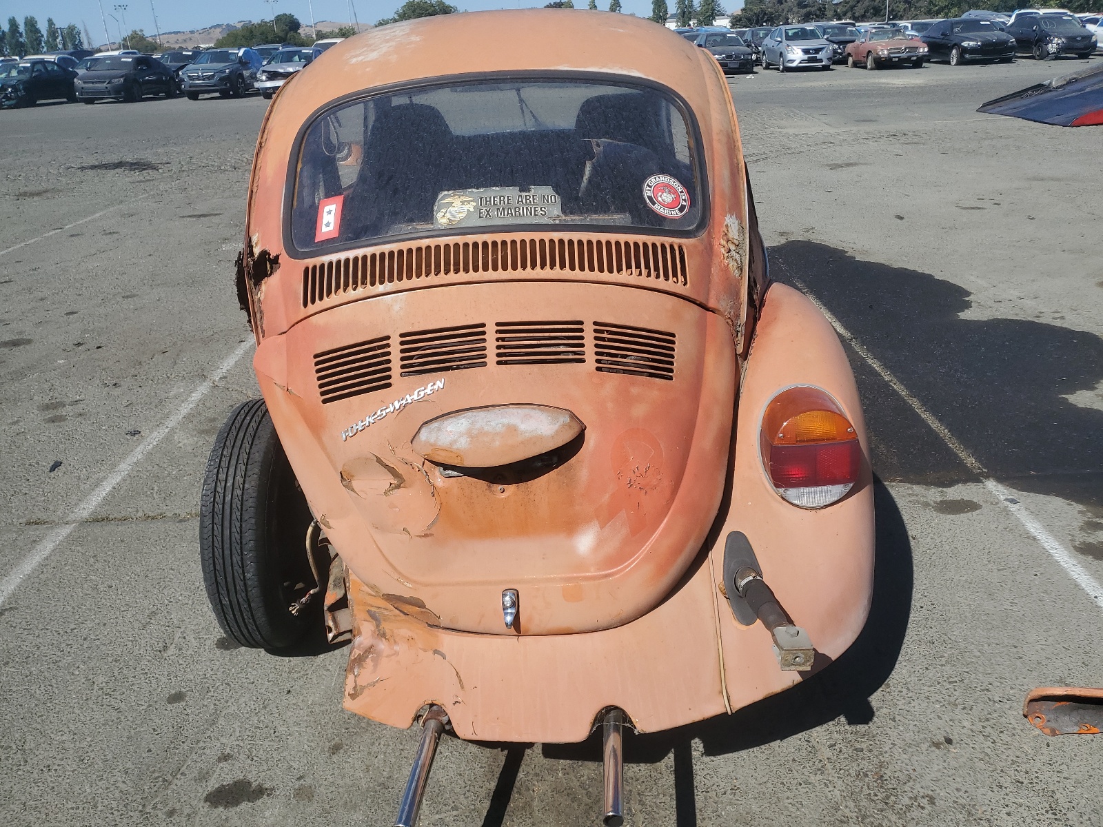 134Z527922 1974 Volkswagen Beetle