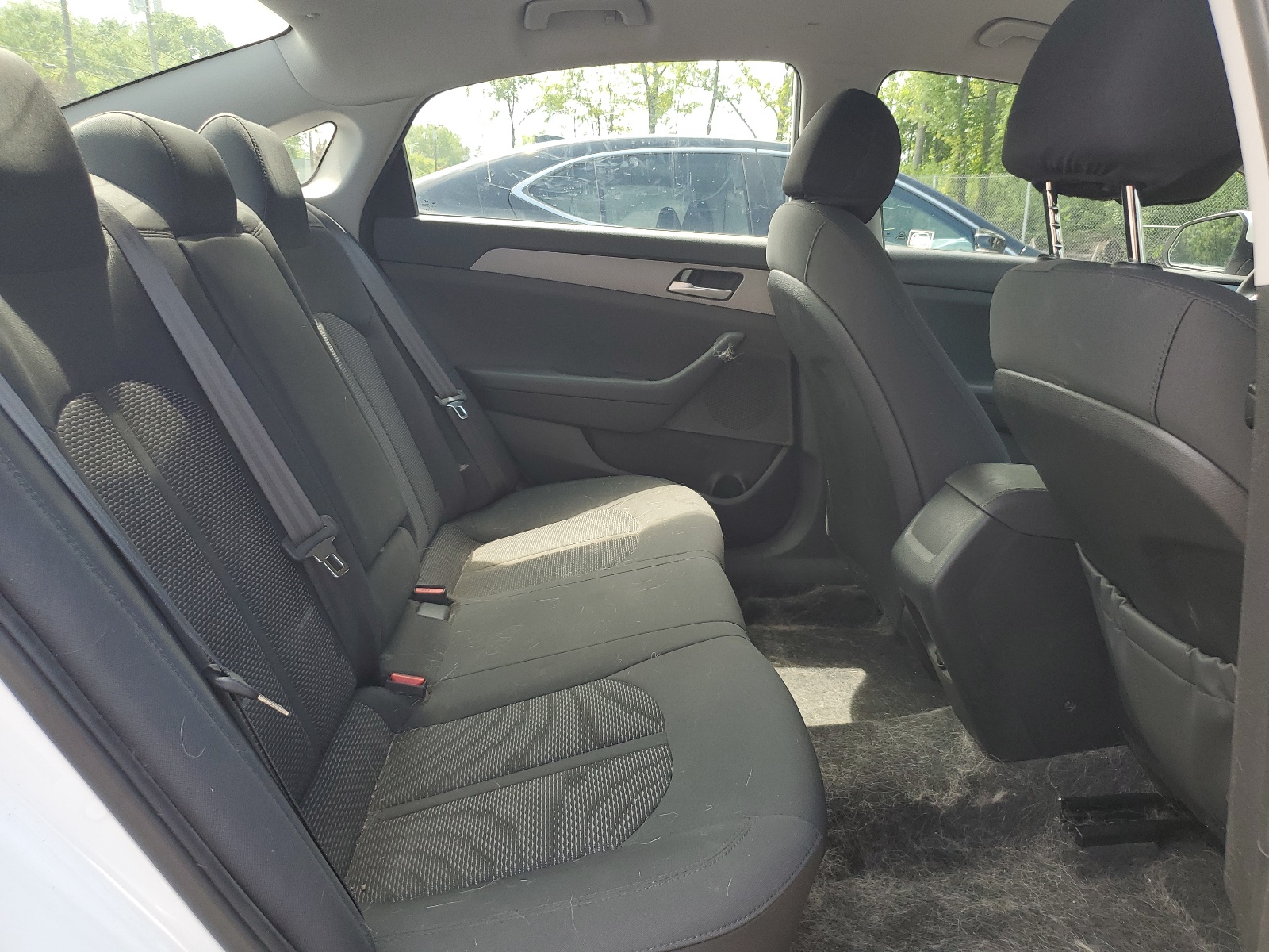 5NPE24AF6KH817392 2019 Hyundai Sonata Se