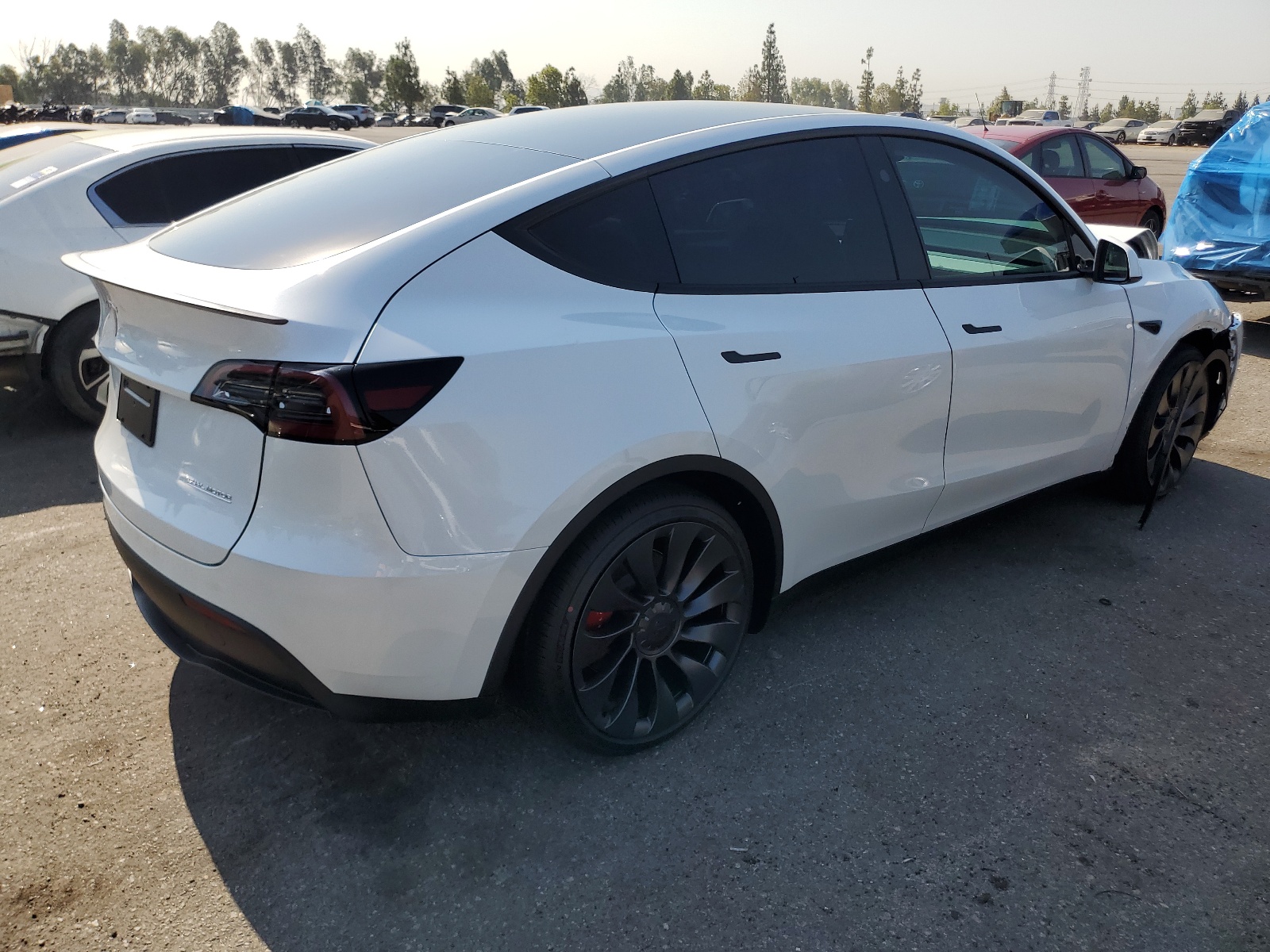 7SAYGDEF2RF117616 2024 Tesla Model Y