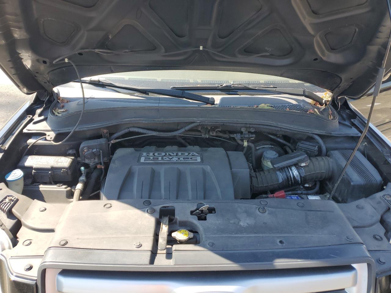 2007 Honda Pilot Exl VIN: 5FNYF28537B004407 Lot: 63063594