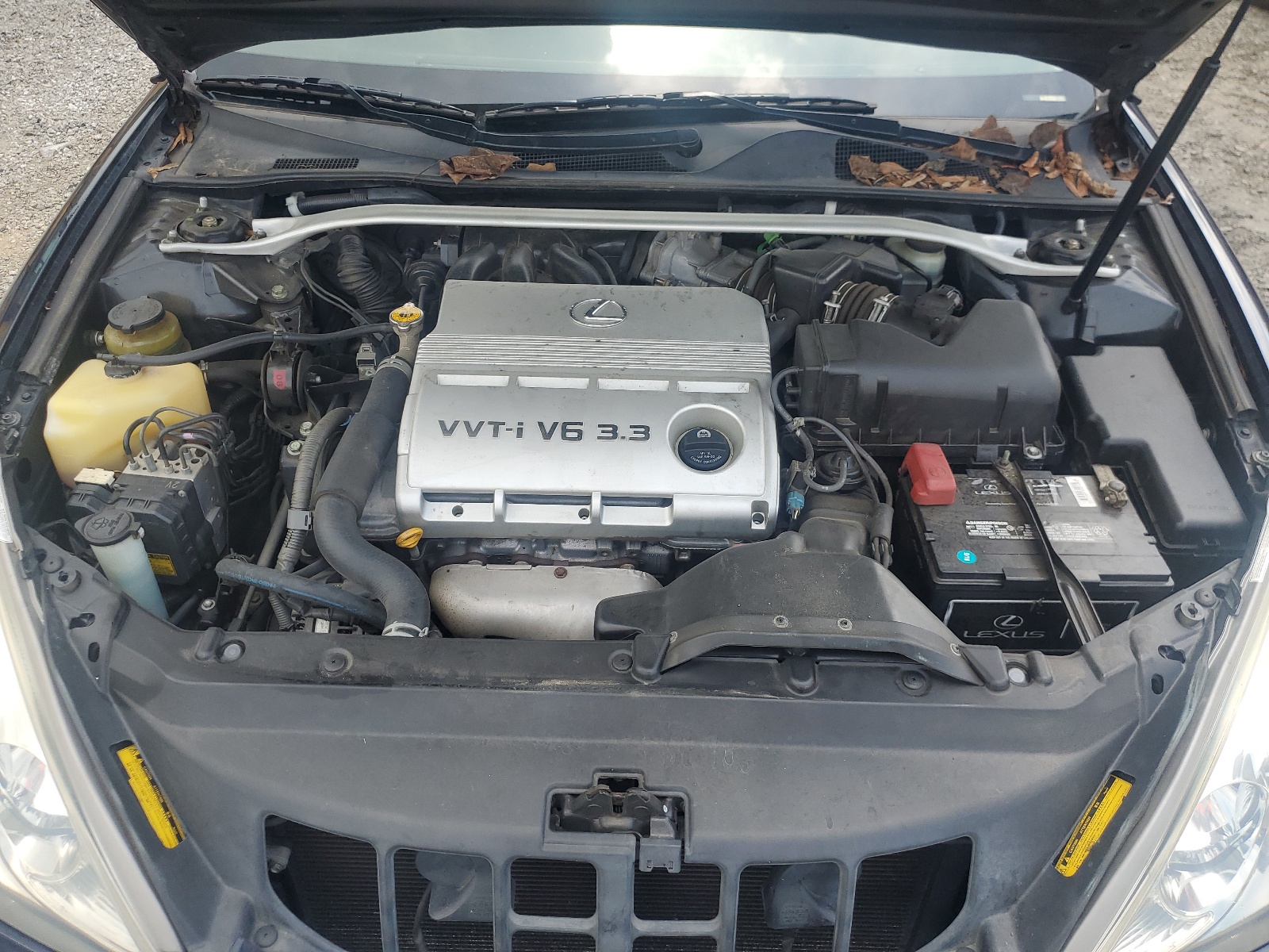 JTHBA30G440008675 2004 Lexus Es 330