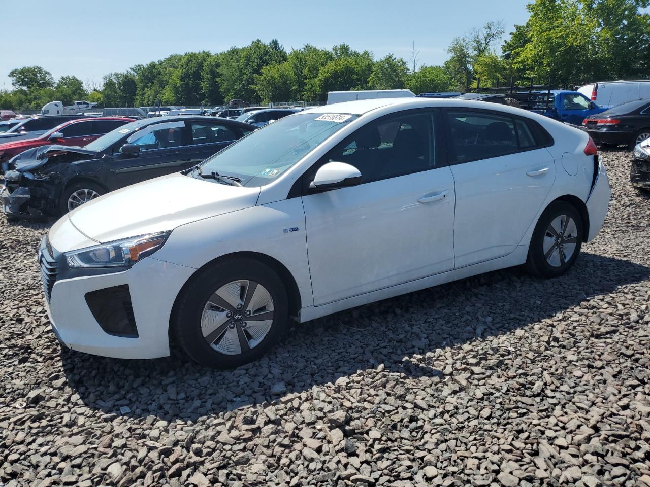 2019 Hyundai Ioniq Blue VIN: KMHC65LC8KU179099 Lot: 63516614