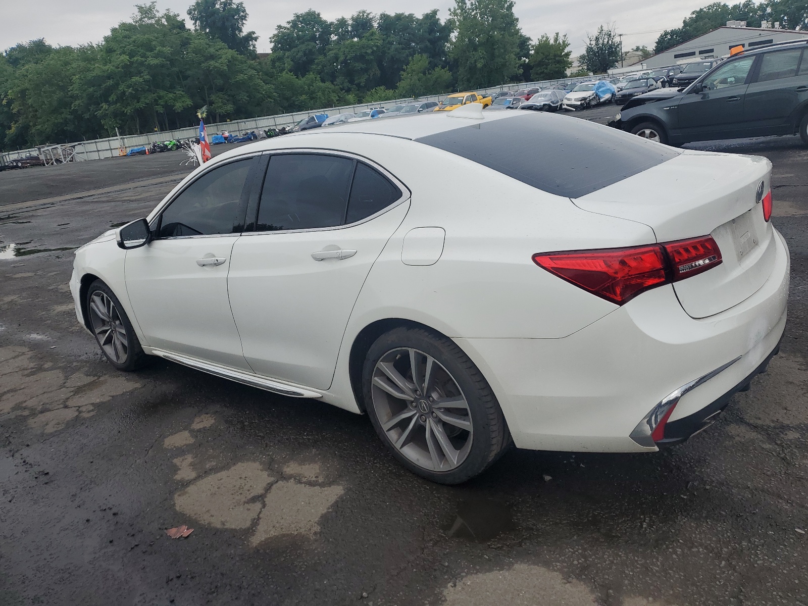 19UUB2F41KA007376 2019 Acura Tlx Technology