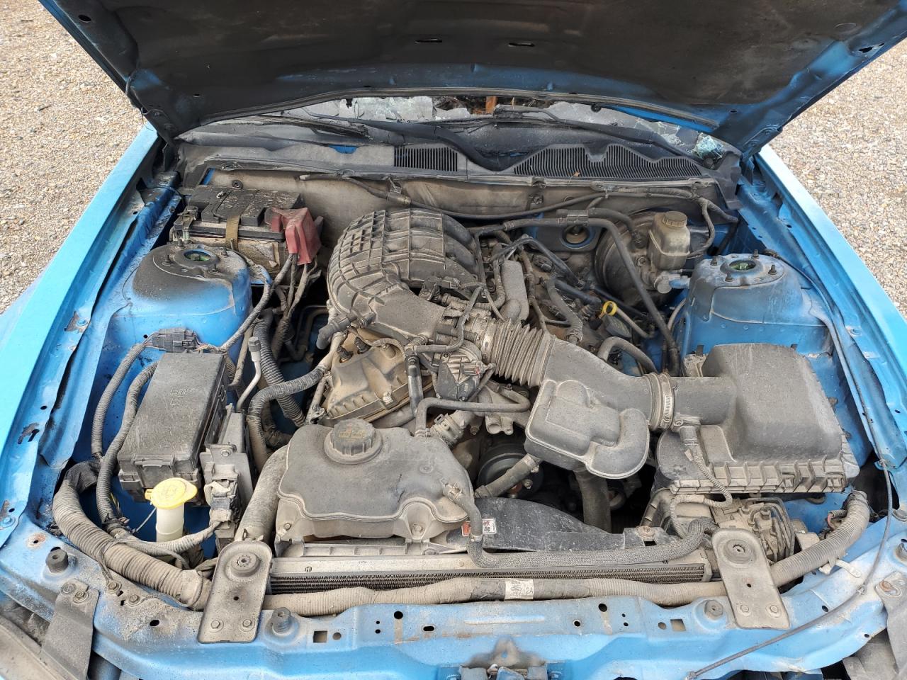 2012 Ford Mustang VIN: 1ZVBP8AM9C5267601 Lot: 62630654