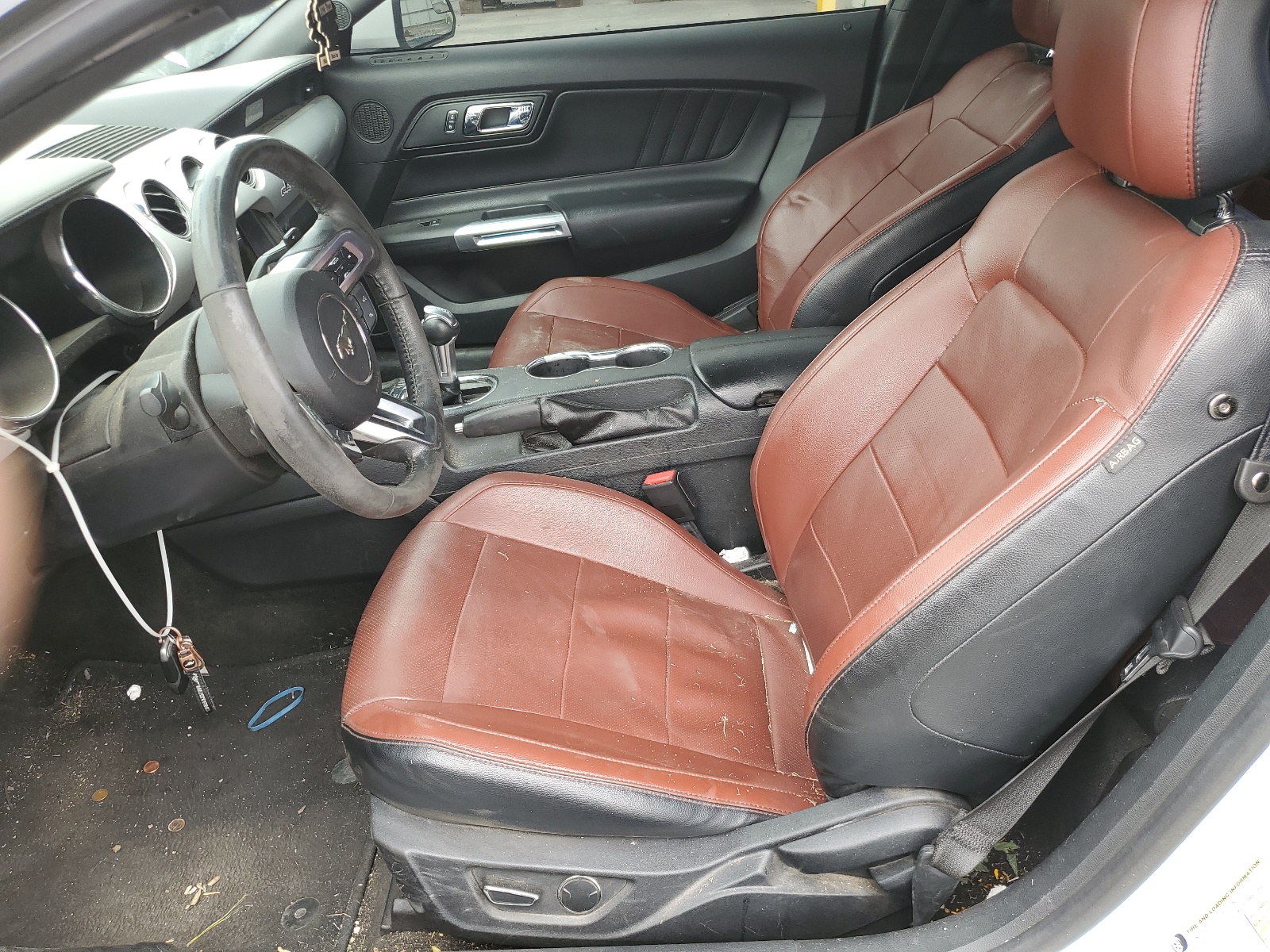 1FA6P8TH1H5307753 2017 Ford Mustang