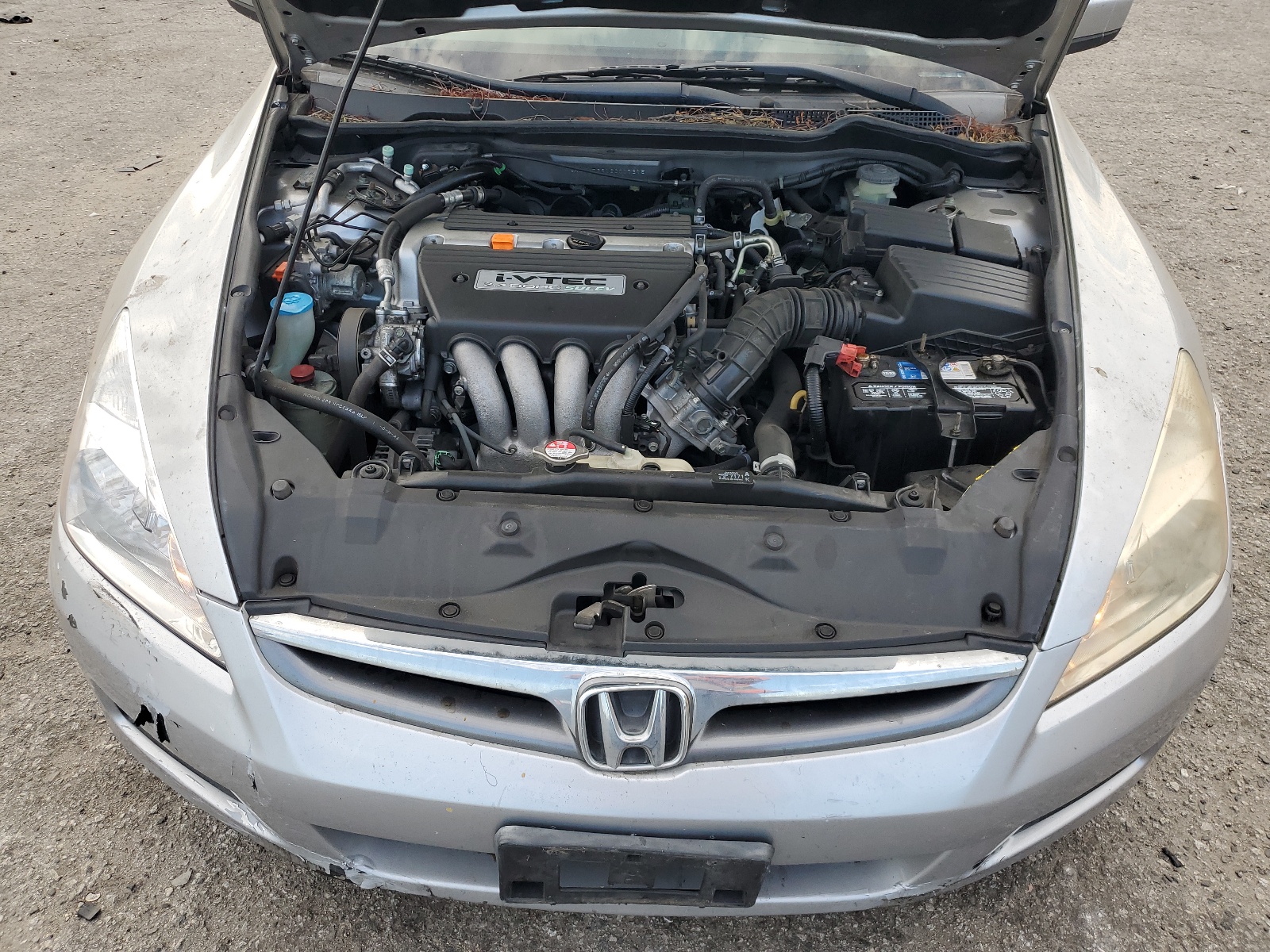 JHMCM56816C007315 2006 Honda Accord Ex