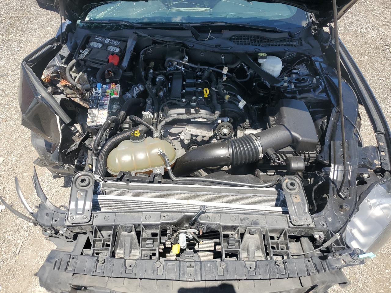 2021 Ford Mustang VIN: 1FATP8UH9M5112527 Lot: 63934844